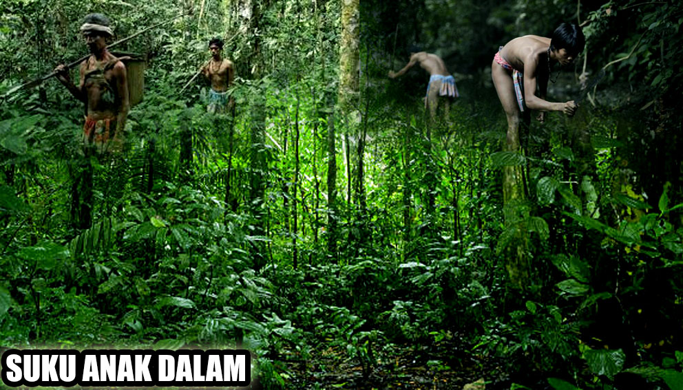 Mengenal Kultur Suku anak Dalam Yang ada Di Hutan Jambi