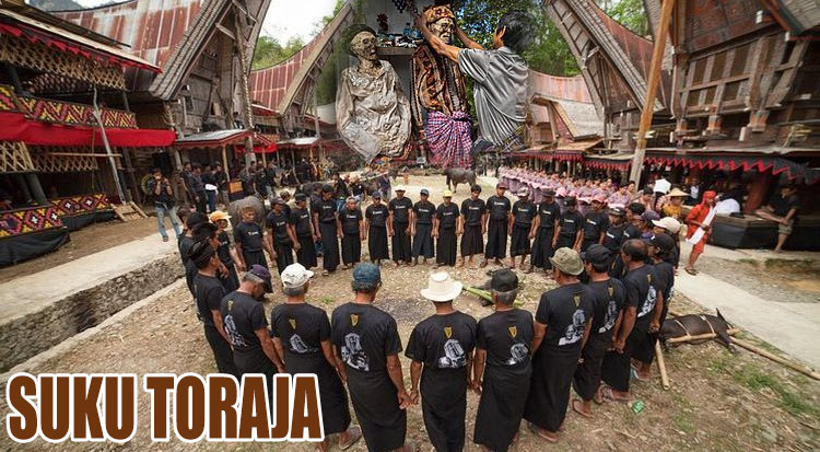 SUKU TORAJA, MENGENAL ASAL-USUL DAN KULTUR BUDAYA