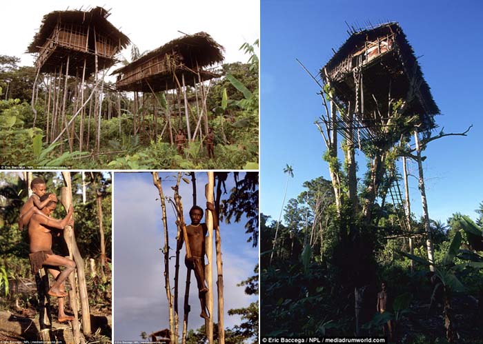 Suku Korowai Pedalaman Papua Tenggara