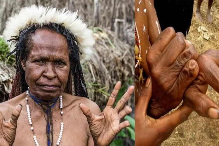 Mengenal Adat Dan Budaya Suku Dani