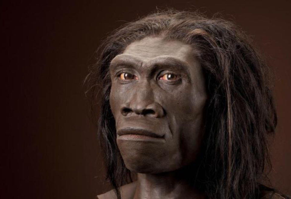 Sejarah Asal Usul Penemuan Fosil Manusia Purba Di Indonesia