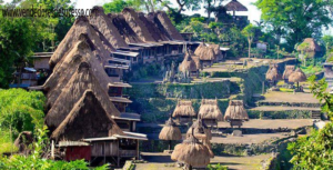 Suku Ngada Warisan Budaya