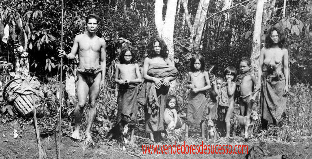 Bangsa Proto Melayu Kebudayaan